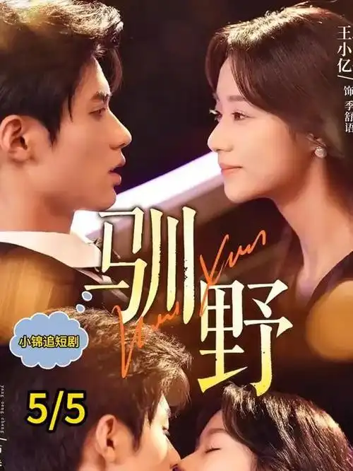 长夜将明剧集海报